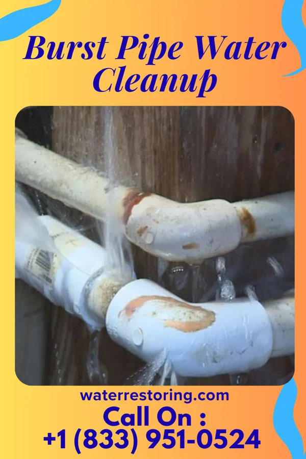 Burst Pipe Water Cleanup in Osceola, WI