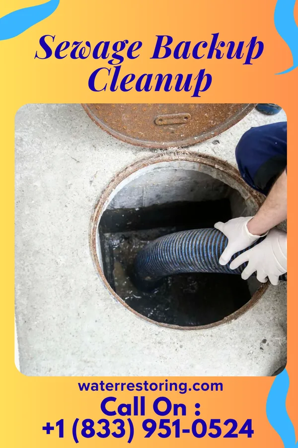 Sewage Backup Cleanup in Osceola, WI