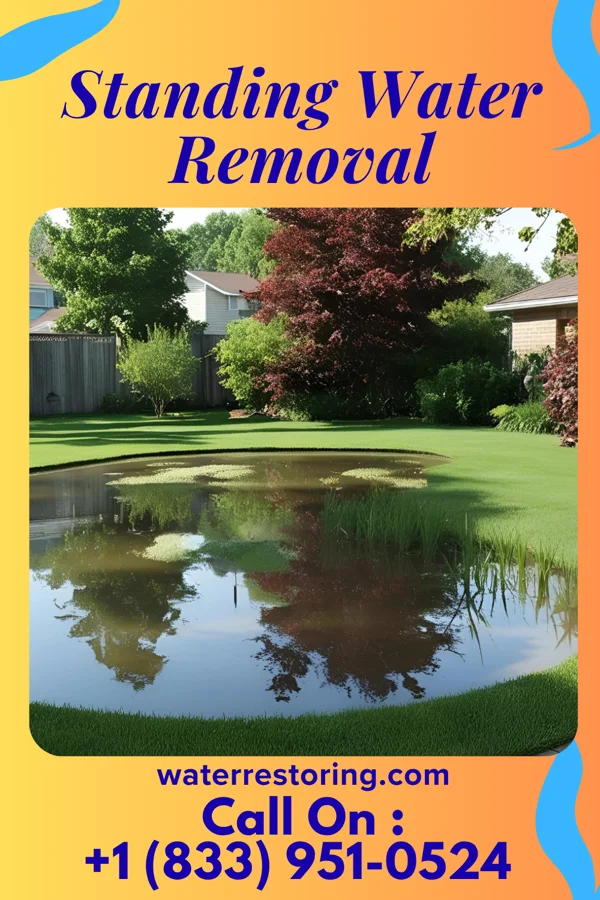 Standing Water Removal in Osceola, WI